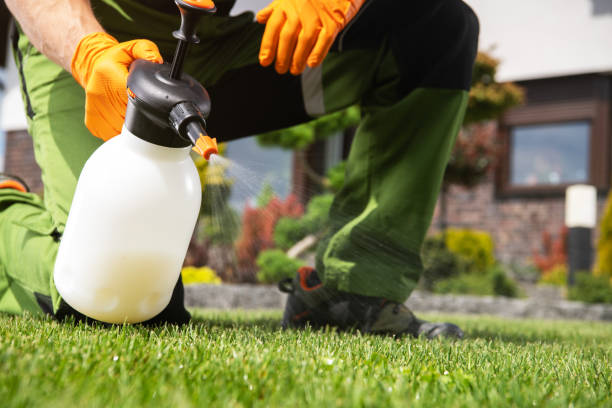 Best Wildlife Control Services  in Jellico, TN