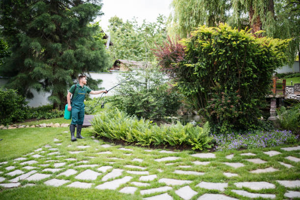 Best Ant Control Services  in Jellico, TN