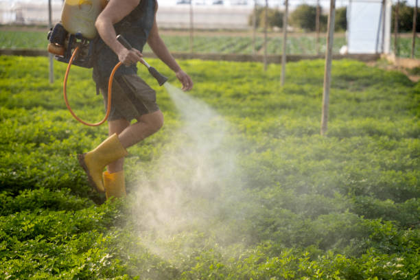 Best Best Pest Control Companies  in Jellico, TN