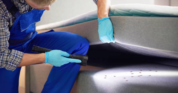 Best Exterminator Services  in Jellico, TN